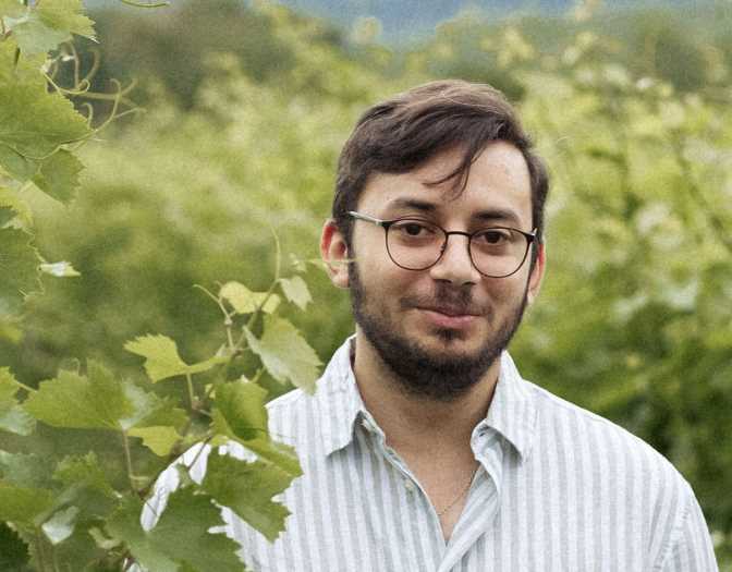 Vértes Birtok